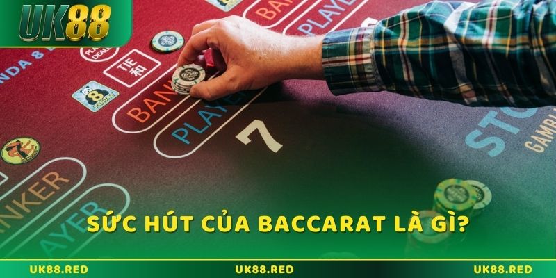 Khám phá baccarat là gì? và cách chơi đơn giản Sức hút của Baccarat là gì lại khiến nhiều người đam mê?
