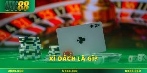 Bí quyết chơi xì dách là gì? Và những điền cần nhớ